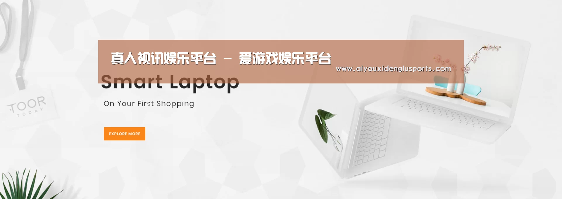 某某网络科技有限公司