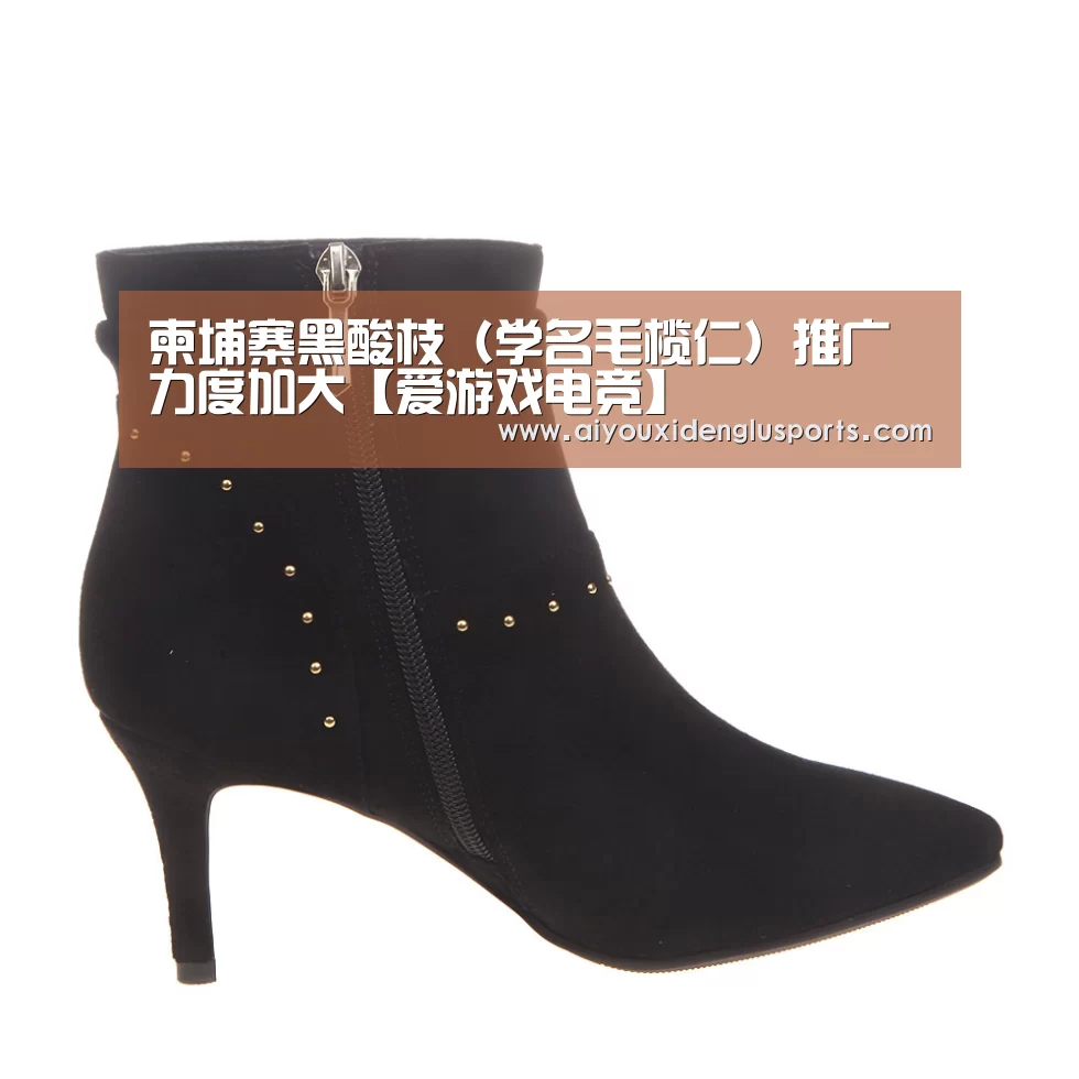 柬埔寨黑酸枝(学名毛榄仁)推广力度加大【爱游戏电竞】(图3) 爱游戏电竞